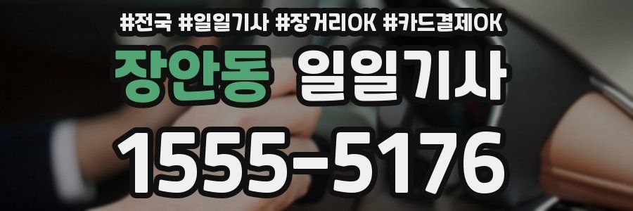 장안동 일일기사