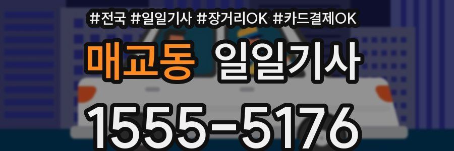 매교동 일일기사