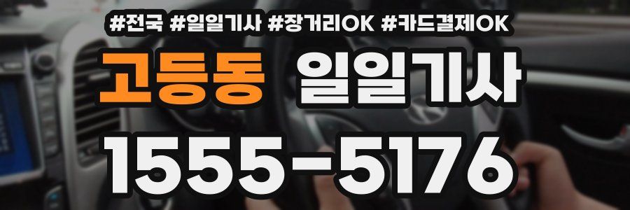 고등동 일일기사