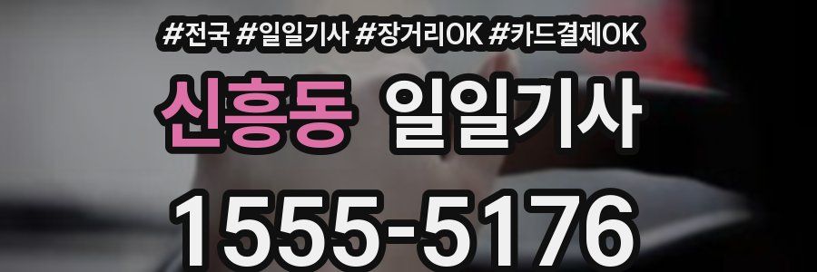 신흥동 일일기사