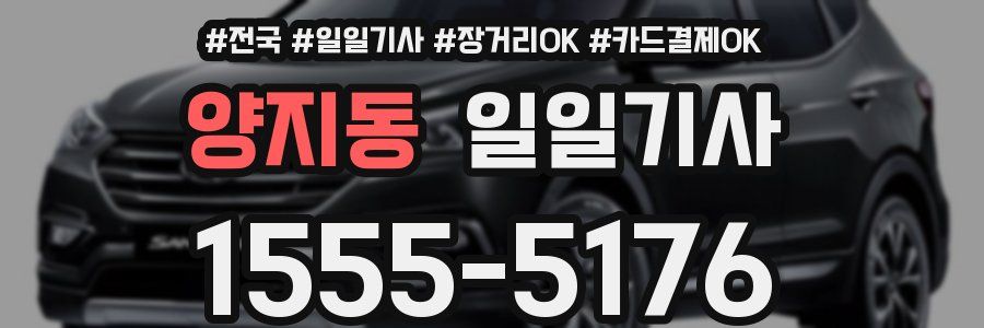 양지동 일일기사