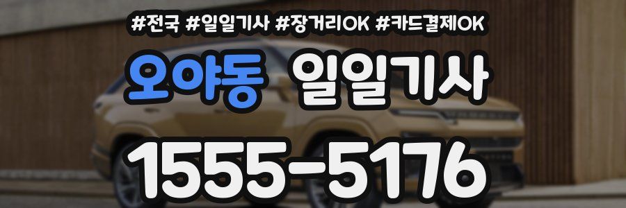 오야동 일일기사