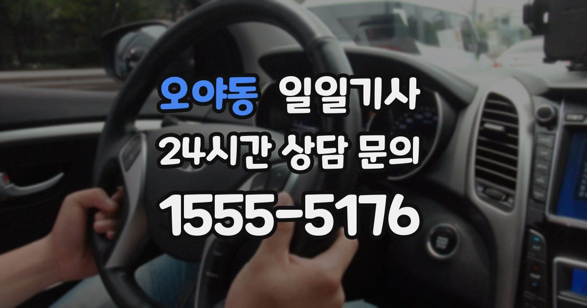 일일대리기사