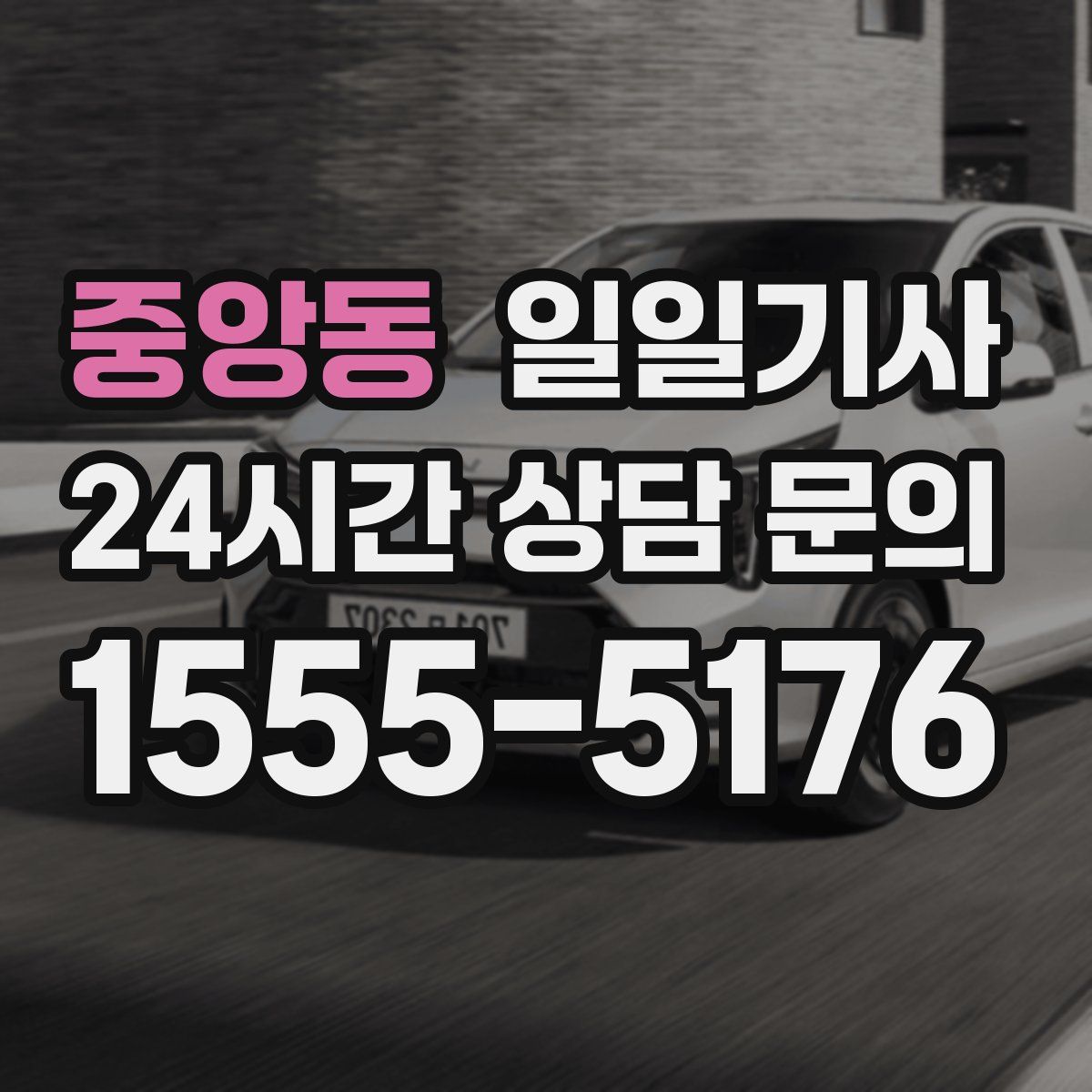 일일기사