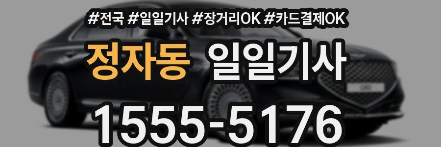 정자동 일일기사
