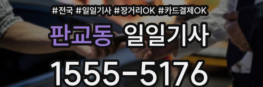 판교동 일일기사