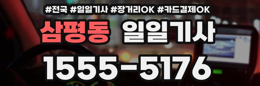 삼평동 일일기사