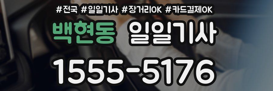 백현동 일일기사
