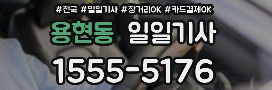 용현동 일일기사