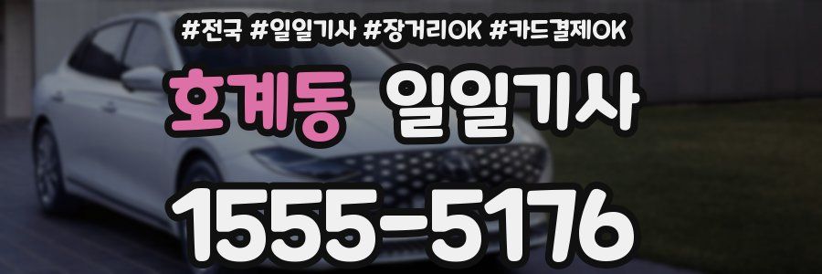 호계동 일일기사