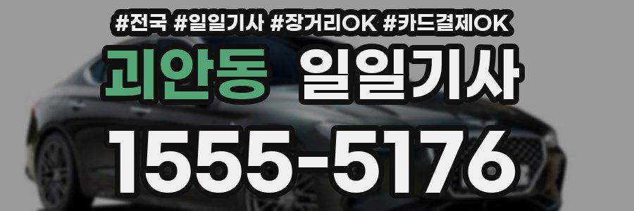 괴안동 일일기사