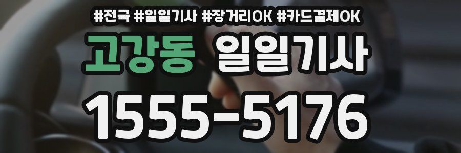 고강동 일일기사