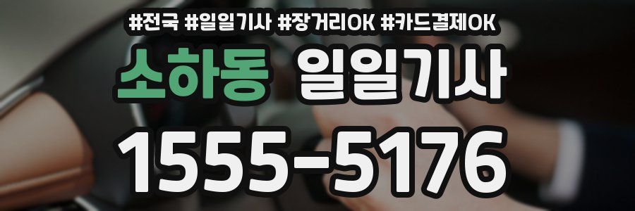 소하동 일일기사