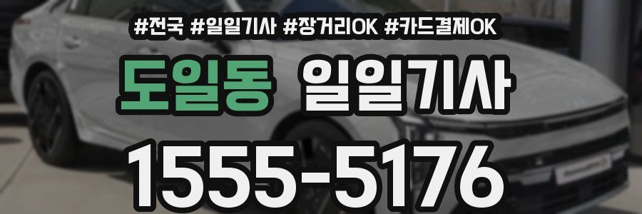 도일동 일일기사