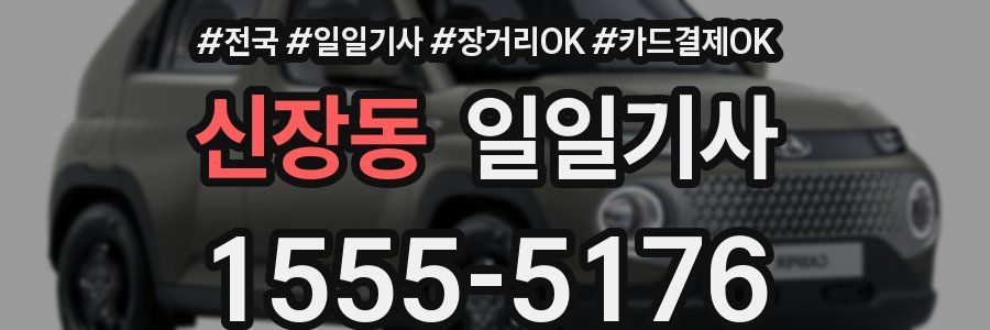 신장동 일일기사