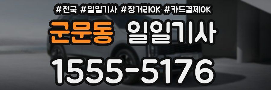 군문동 일일기사
