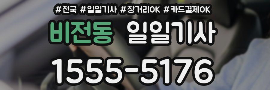 비전동 일일기사