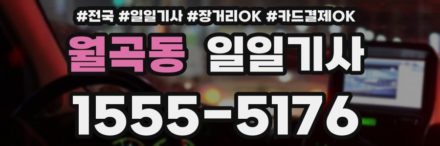 월곡동 일일기사