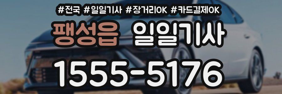 팽성읍 일일기사