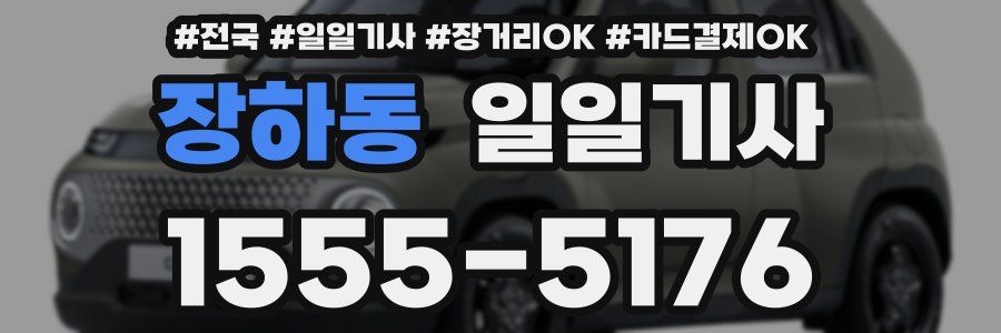 장하동 일일기사