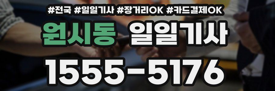 원시동 일일기사