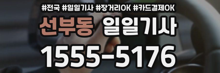 선부동 일일기사