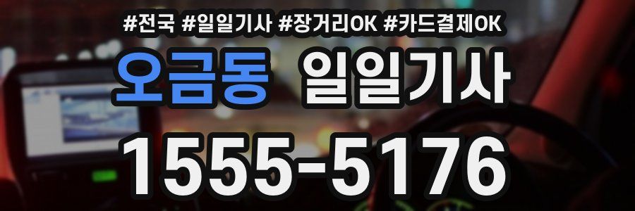 오금동 일일기사