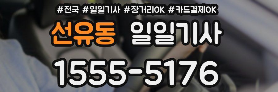 선유동 일일기사