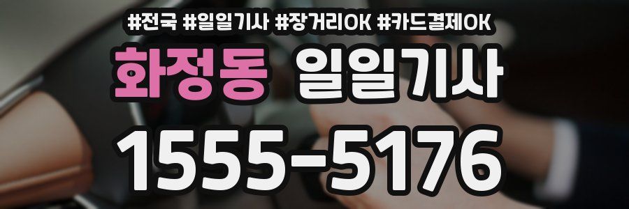 화정동 일일기사