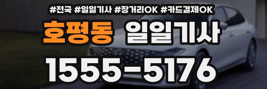 호평동 일일기사