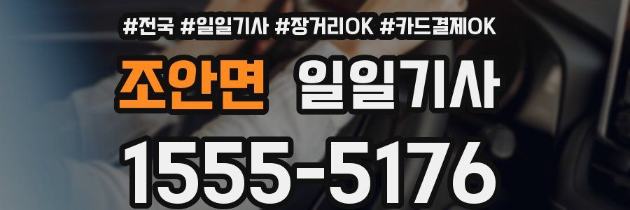 조안면 일일기사