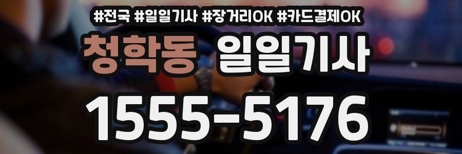 청학동 일일기사