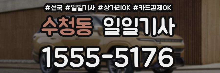 수청동 일일기사