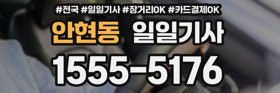 안현동 일일기사