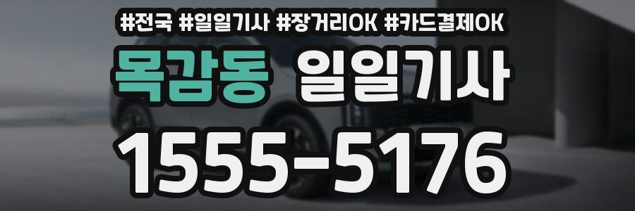 목감동 일일기사