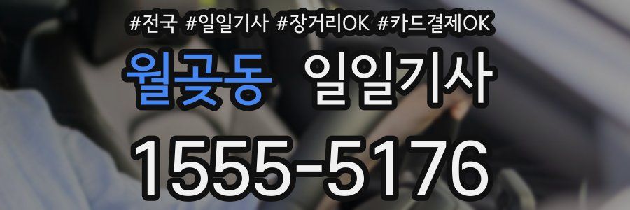 월곶동 일일기사