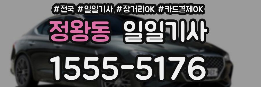 정왕동 일일기사