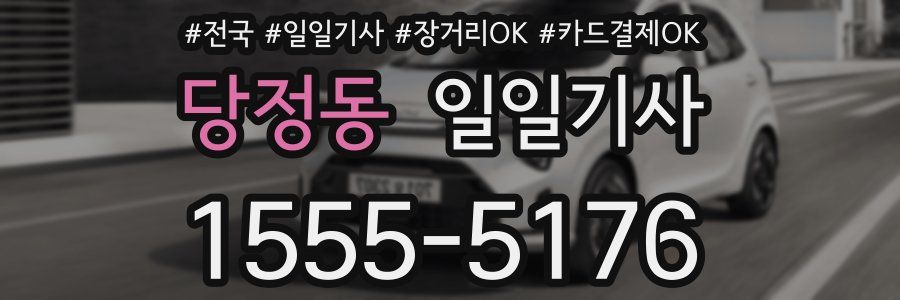 당정동 일일기사