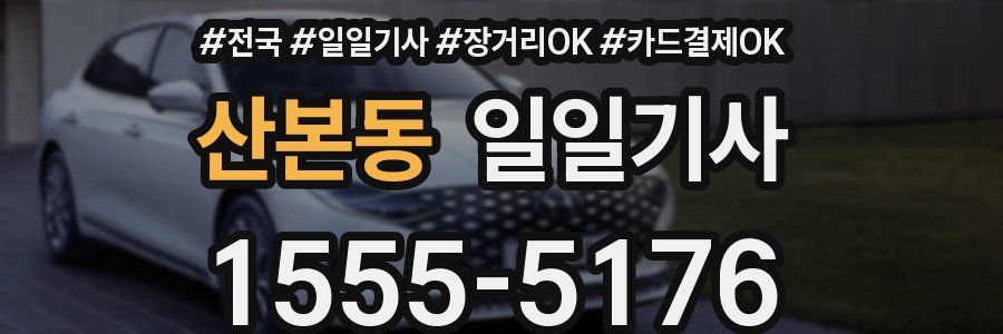 산본동 일일기사