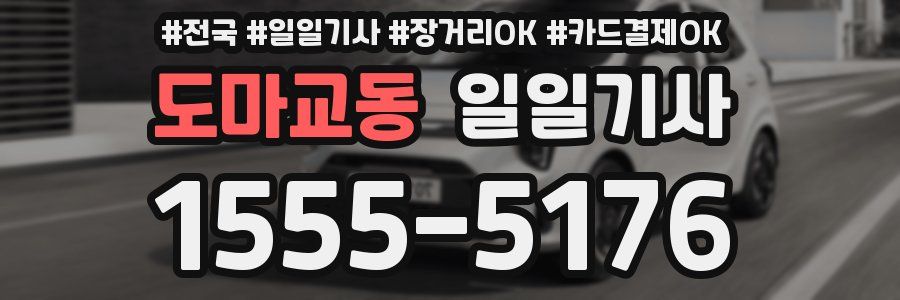 도마교동 일일기사