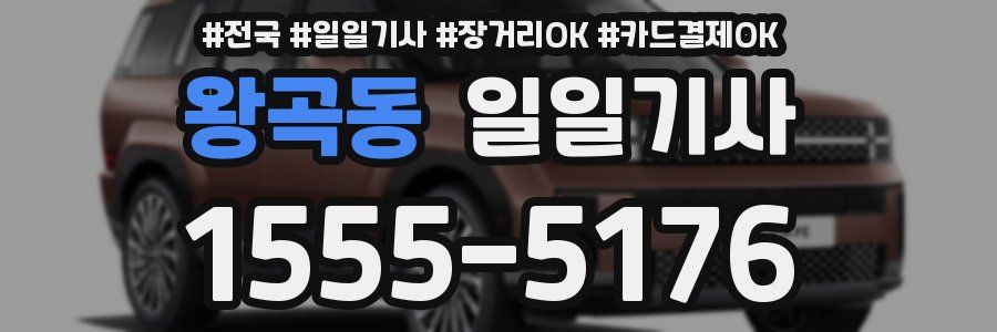 왕곡동 일일기사