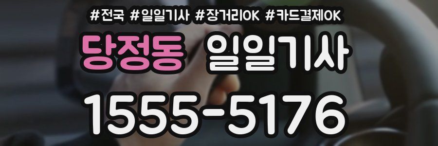 당정동 일일기사