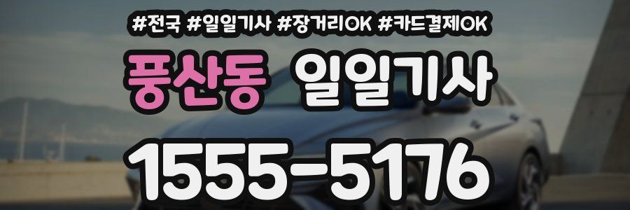 풍산동 일일기사