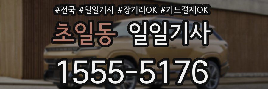 초일동 일일기사