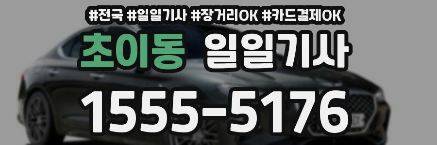 초이동 일일기사