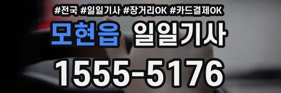 모현읍 일일기사