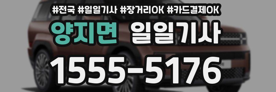 양지면 일일기사