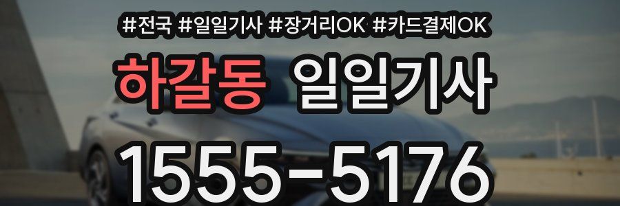 하갈동 일일기사