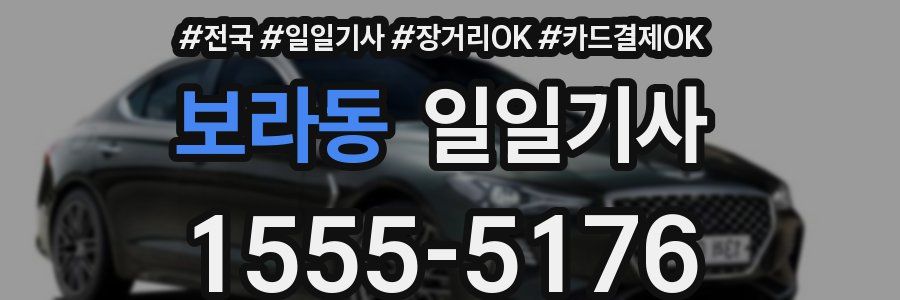 보라동 일일기사