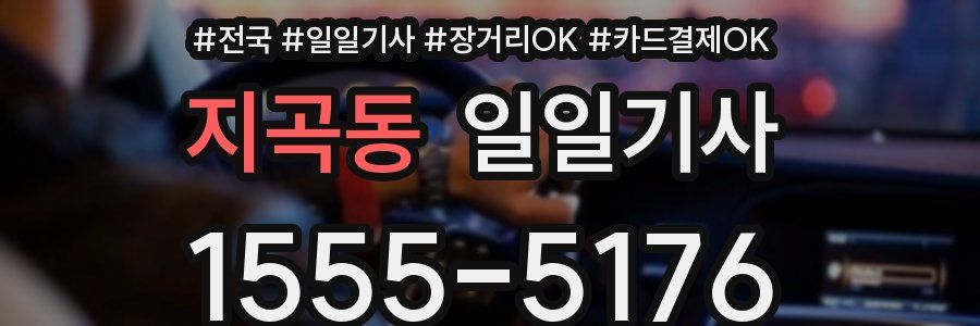 지곡동 일일기사